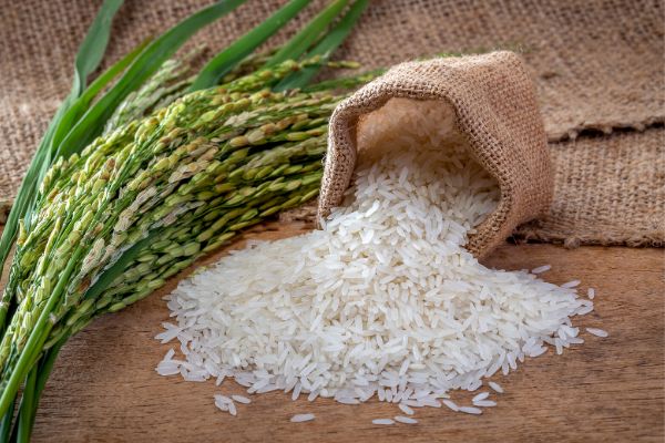 Duke University Rice Diet