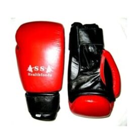 SS Boxing Gloves