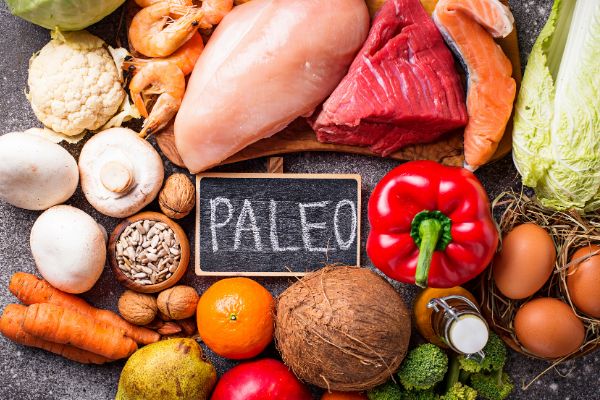 The Paleo Diet-A Review