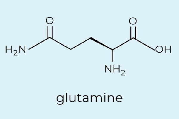 A Basic Guide to Glutamine