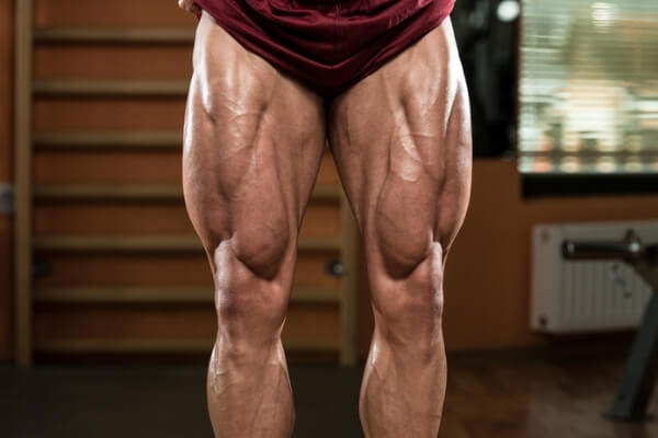How To Build Insanely Jacked Legs!