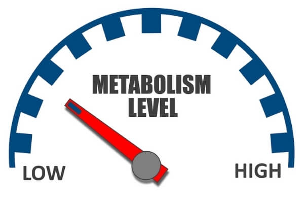 How can I increase my metabolic rate?