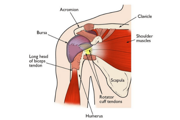 Rotator Cuff Injury, Causes & Treatments